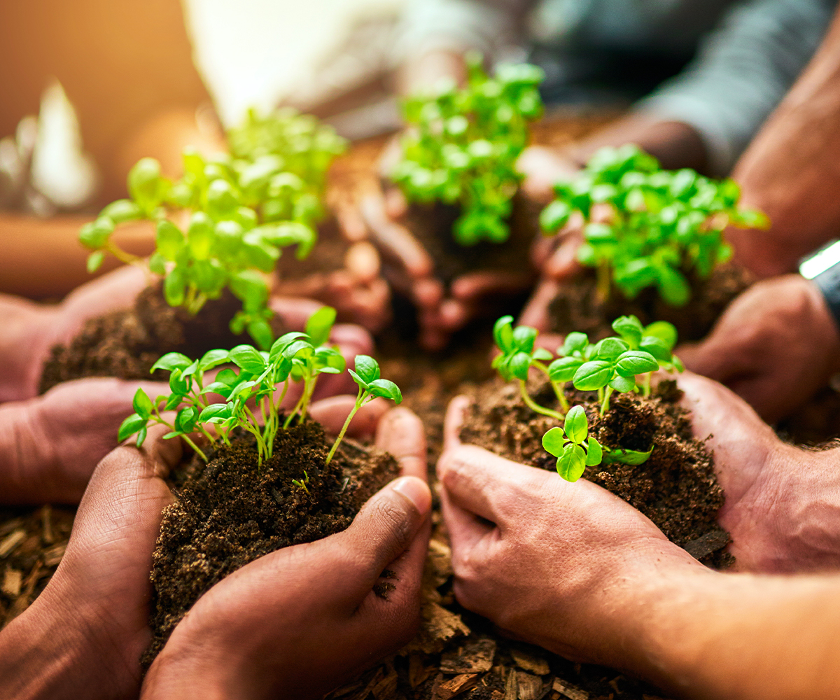 Gestione finanziaria aziendale